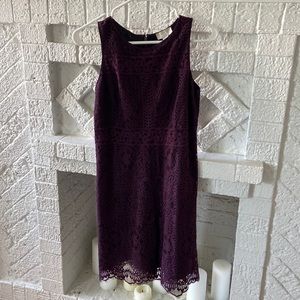 Purple lace LOFT dress NWT